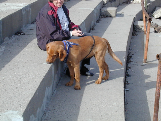 Nigel at the park