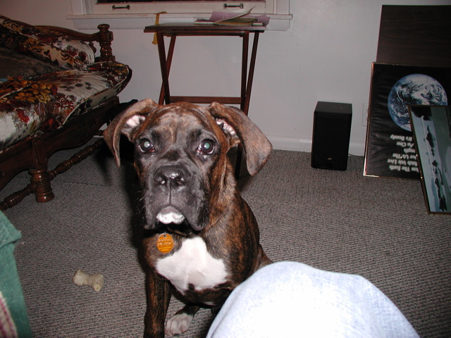 Puck