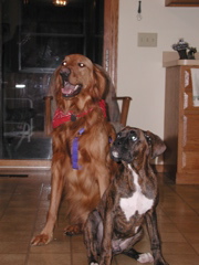 Nigel and Puck