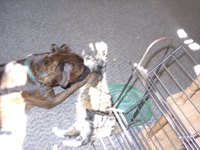 Puck and George
