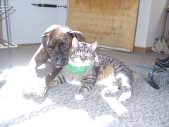Puck and George