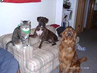 The boys again