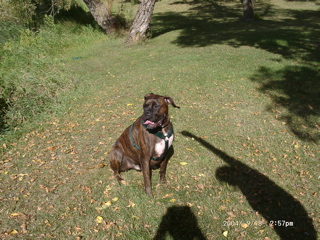 Puck
