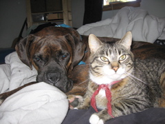 Puck and George