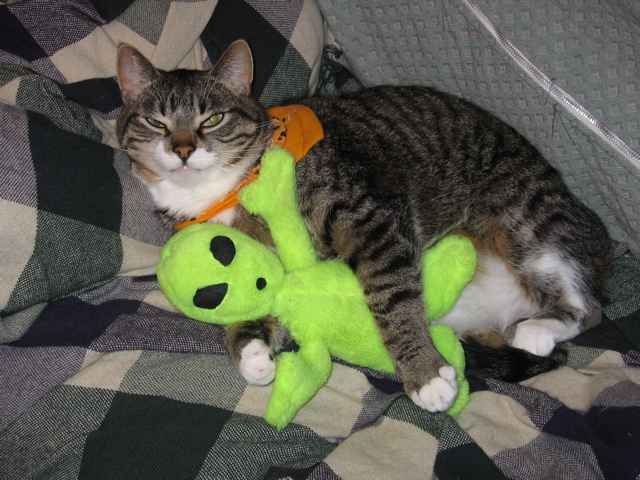 George and the Alien