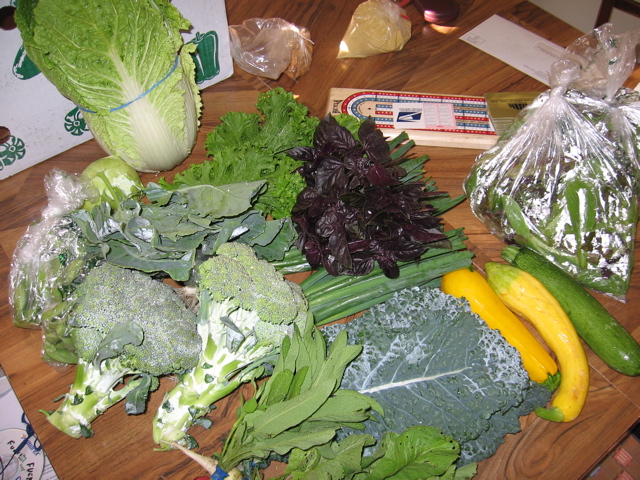 Easy Bean Food Share - July 5th