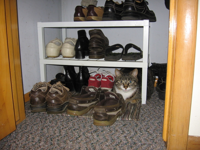 Where's Waldo?