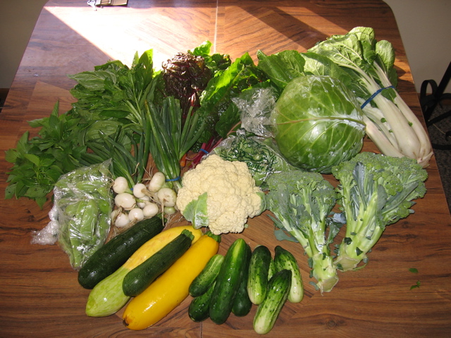 Easy Bean Food Share - July 12th