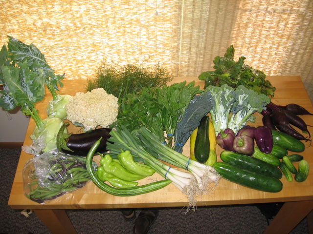 Easy Bean Food Share - July 26
