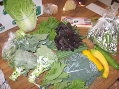 Easy Bean Food Share - July 5th