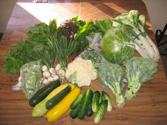 Easy Bean Food Share - July 12th