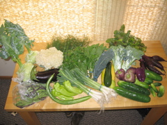 Easy Bean Food Share - July 26