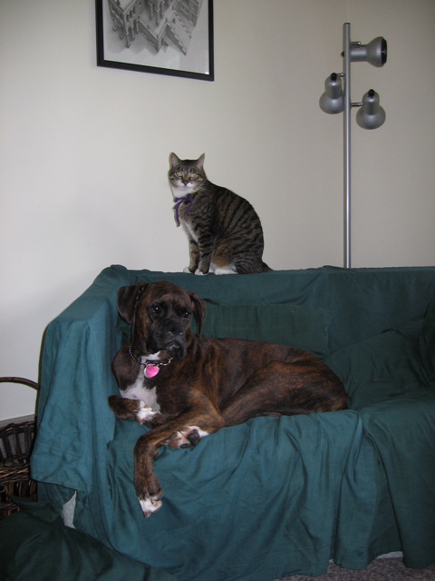 Puck and George