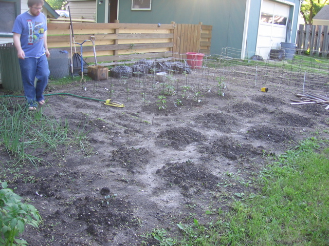 Garden - June 15