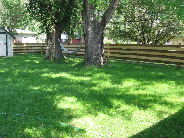 Unfinished fence