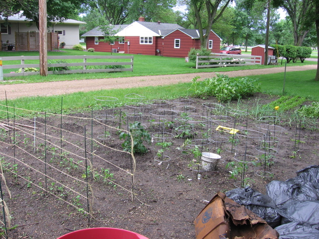 Garden - June 20