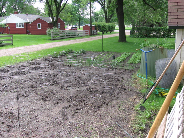 June 6 - Vegetable Garden