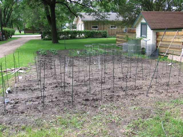 June 6 - Garden
