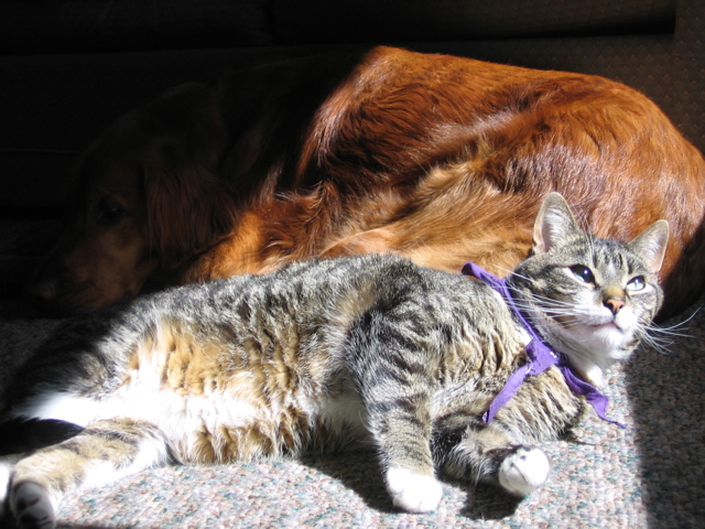 George and Nigel