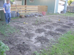 Garden - June 15