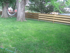 More fence pictures