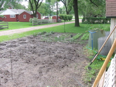 June 6 - Vegetable Garden