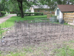 June 6 - Garden