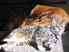George and Nigel