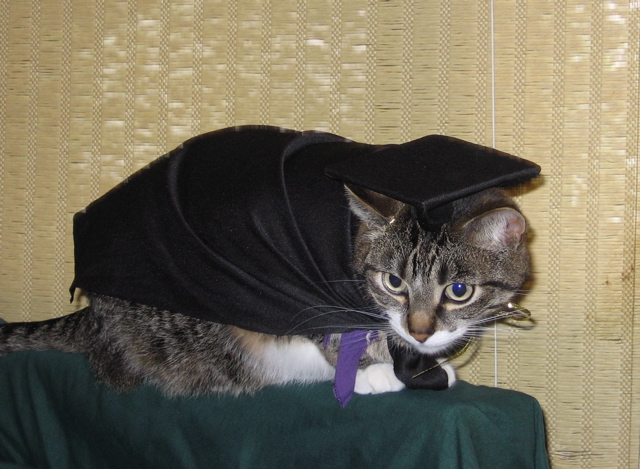 George, on graduation day.
