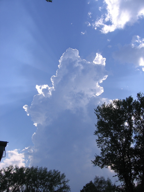 A neat sky picture