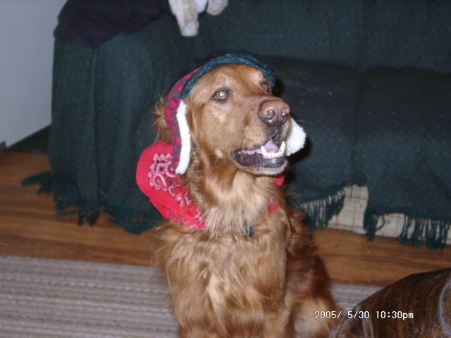 Nigel dressed up for the birthday party