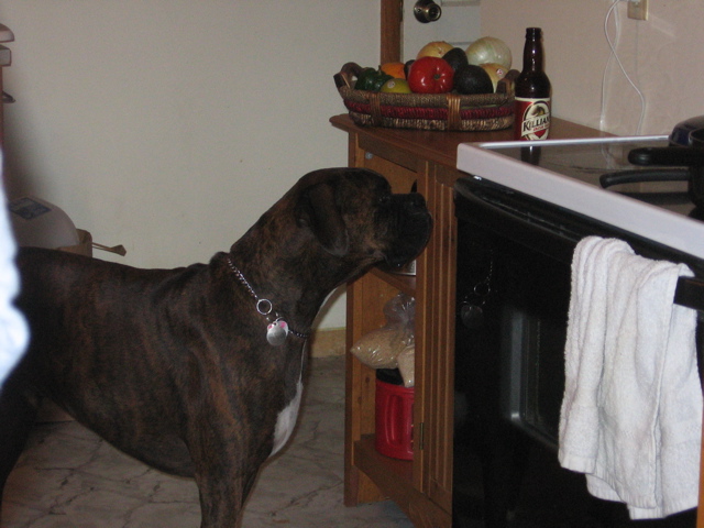 Puck, yearning for the Killians