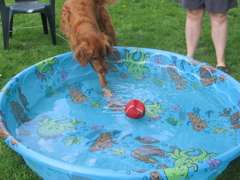 Nigel finally checking it out...
