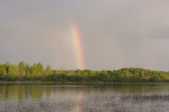 My parents cabin - rainbow on Cedar Lake