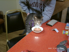 Birthday Candles