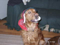 Nigel dressed up for the birthday party