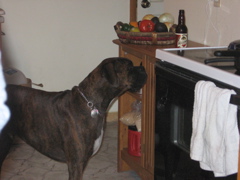 Puck, yearning for the Killians