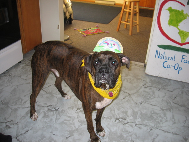 Puck, another Birthday Boy