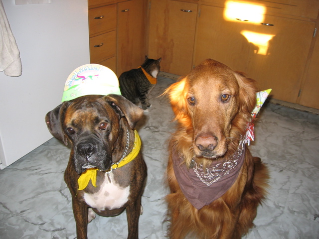 Birthday Boys