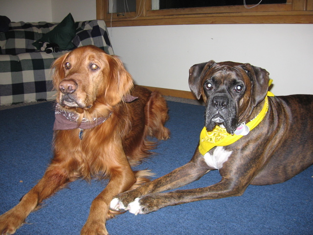 Nigel and Puck