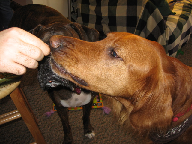 Licking candles