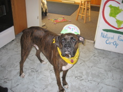 Puck, another Birthday Boy