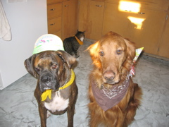 Birthday Boys