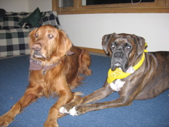 Nigel and Puck