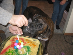 Licking the candles
