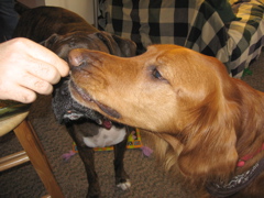 Licking candles