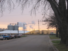 Ethanol Plant