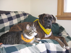 George and Puck