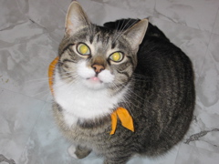 George