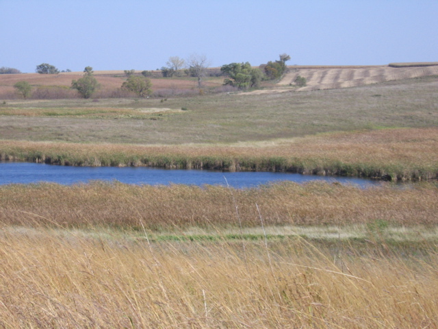 Stevens County Wetlands